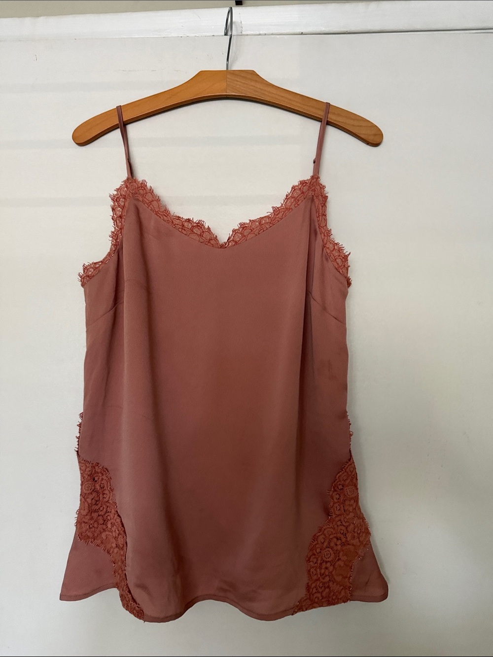 Banana Republic Lace-Trim Slip Chemise in Rosewood